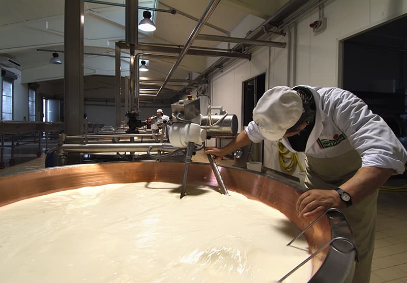 Guided-tour-Bertinelli-Parmiggiano-Reggiano-Italy logo parmigiano reggiano