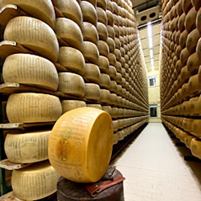 forme-parmiggiano-reggiano